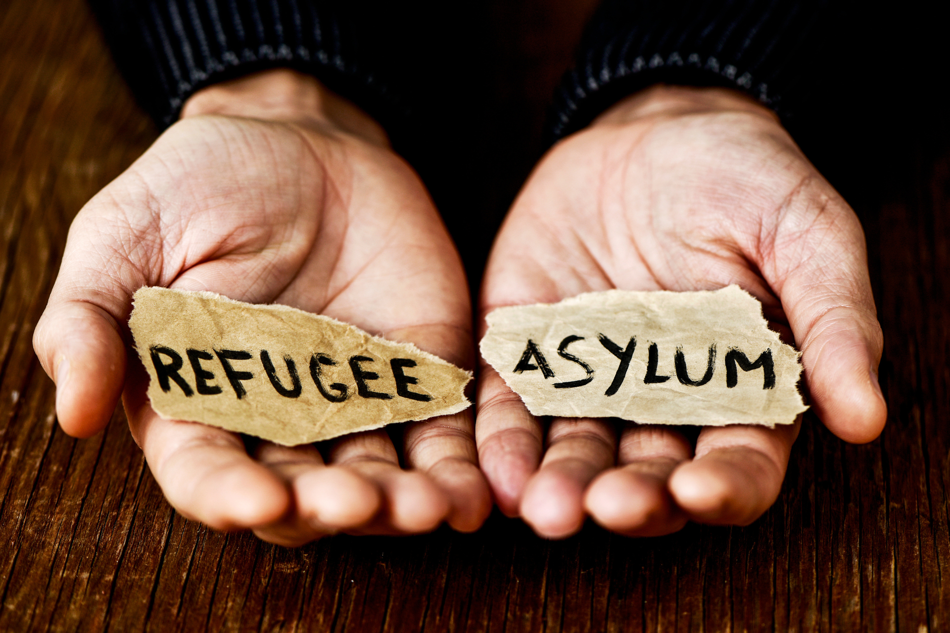Provide Community’s statement on providing healthcare to asylum seekers and refugees
