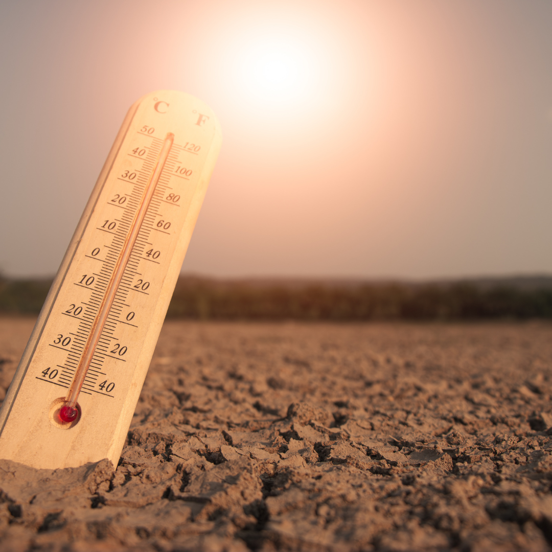 Heat Health Alert: Services Continuing as Normal